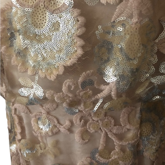 🎉HP Adrianna Papell x BHLDN Kylie 4 / S & 12 / Lg Lace Embellished Pink Gown - Picture 8 of 9